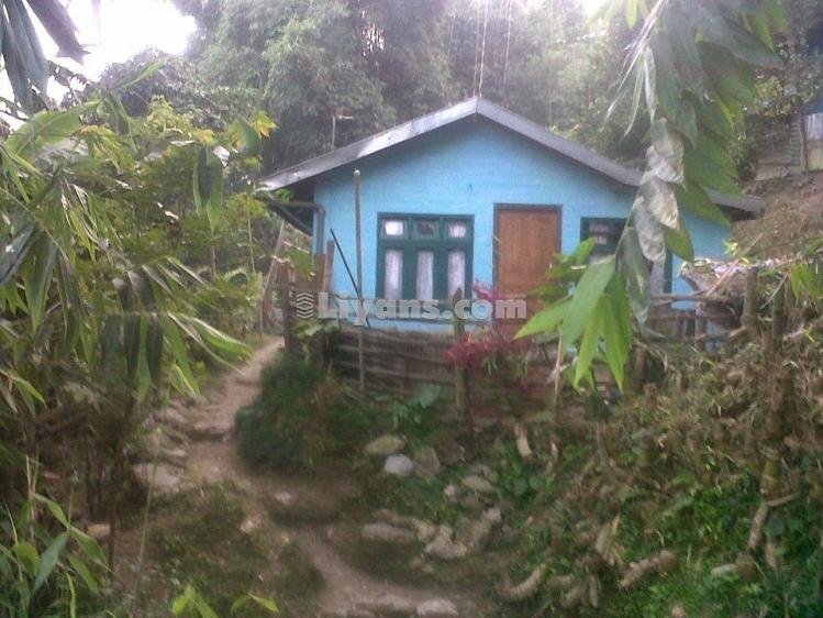 Free Hold Property At East Main Road Kalimpong for Sale at Kalimpong East Main Road, Darjeeling