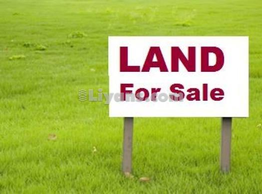 150 Cottah Land Sale Suitable For Tourisum Bussiness Near By Nh31 And Jaldapara National Park for Sale at Madarihat, Alipurduar