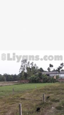 Commercial Space For Rent for Rent at Near Amdanga Barasat, Moyna
