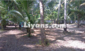 Floor Plan of 25cent Residential Land For Sale In Munnamkutty,kayamkulam,alappuzha