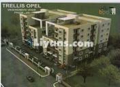 Floor Plan of Trellis Opel Apartment For Sale At Sundarpada