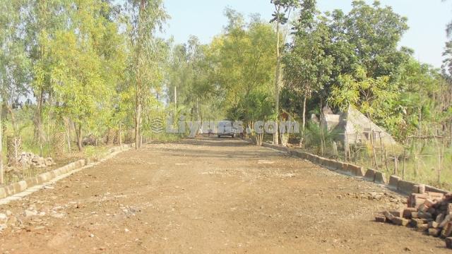 3 Kottah Land For Sale for Sale at Diamond Harbour Road, Kolkata