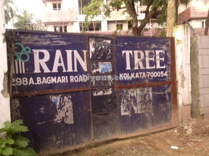 P.s. Rain Tree for Sale at Kankurgachi, Kolkata